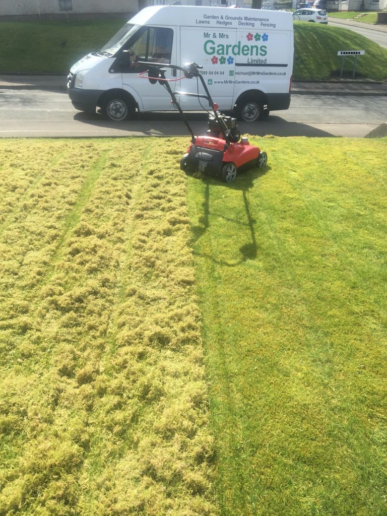 Lawn Scarification - front side