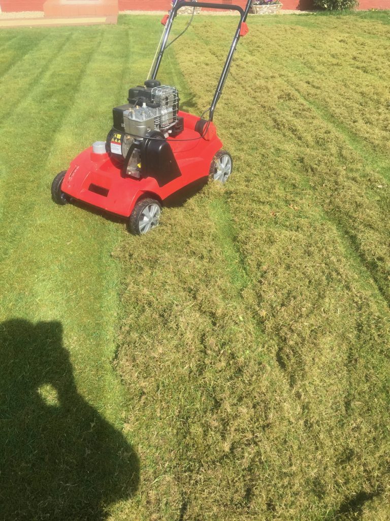 Lawn Scarification - right side