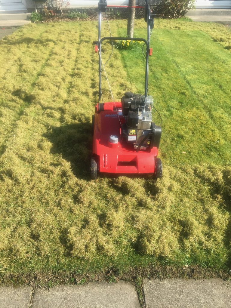 Lawn Scarification - left side