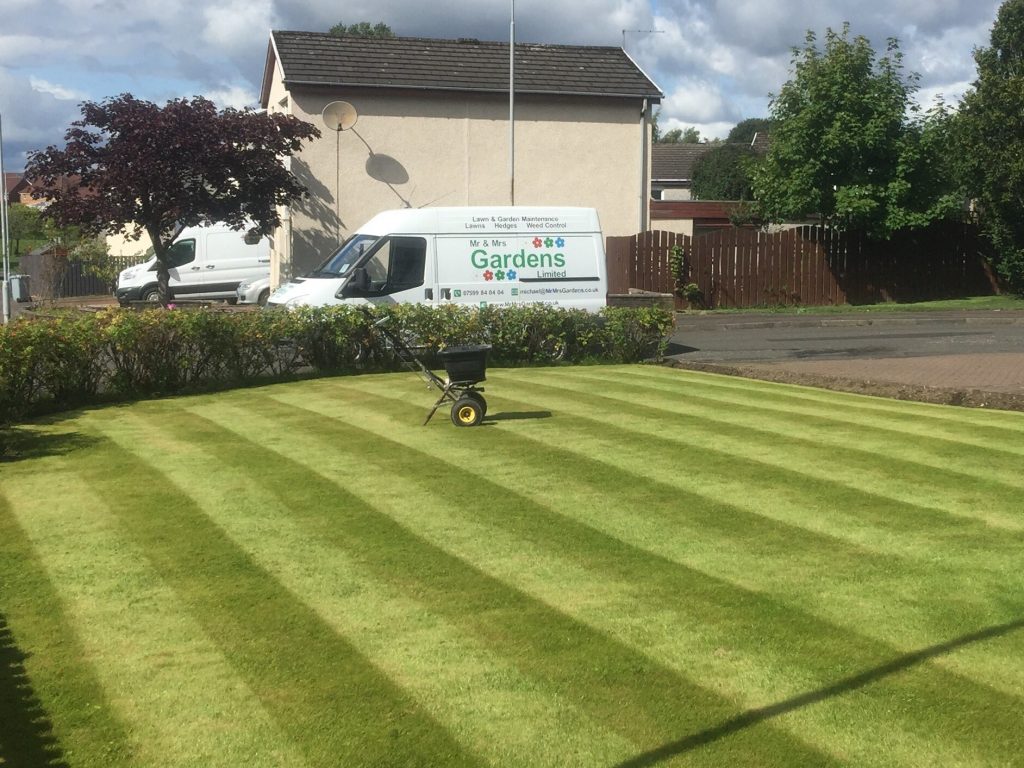 Lawn Feed spreader - with van